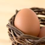 卵の栄養を過小評価してはいけない理由
